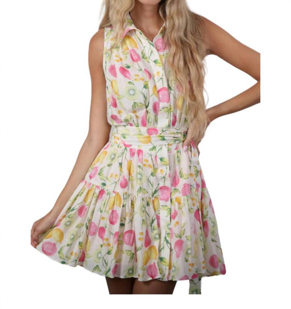 En Saison Fruit Medley Belted Button Front Mini Dress L NWT